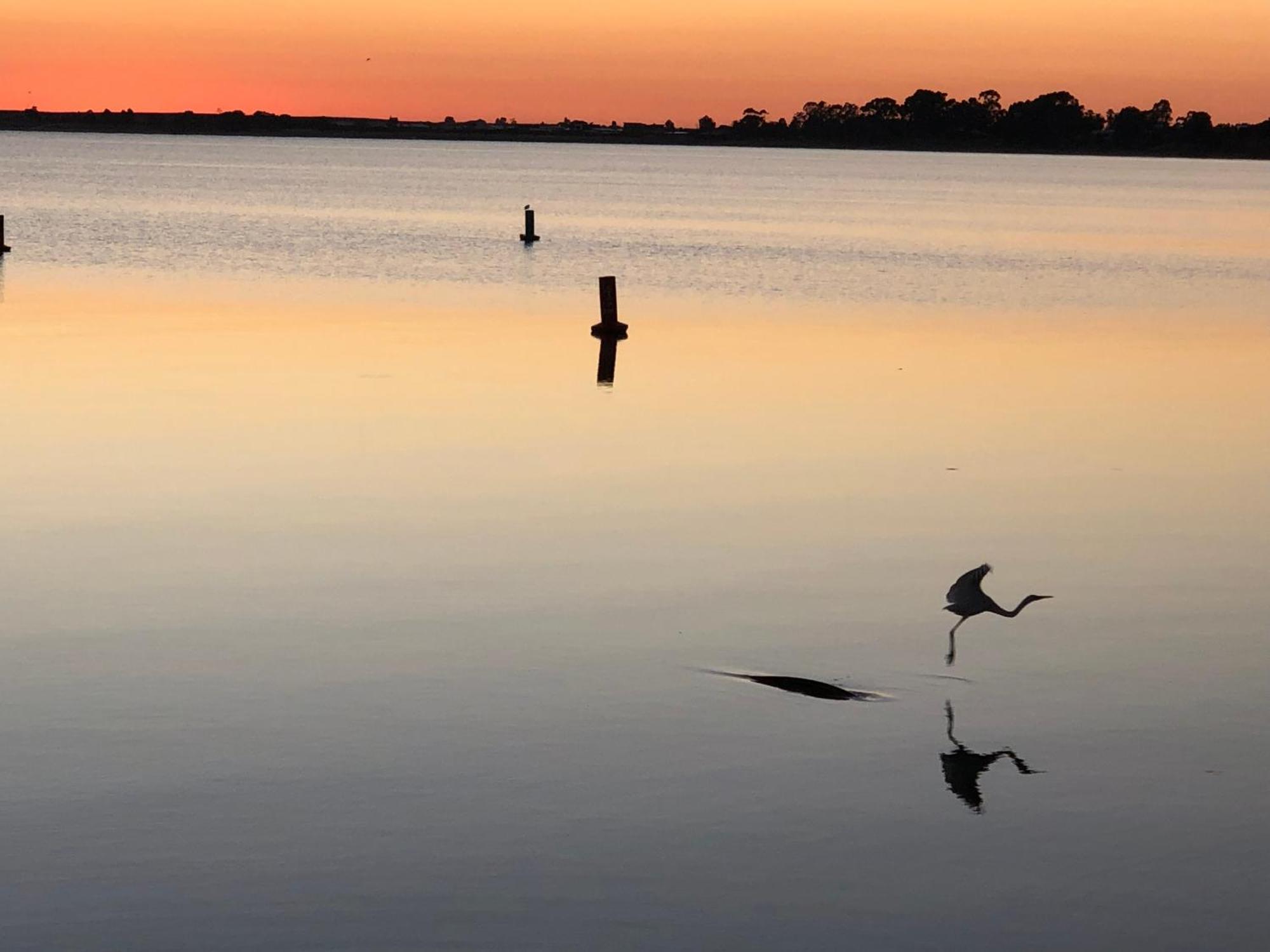Lake Boga Caravan Park Exterior foto